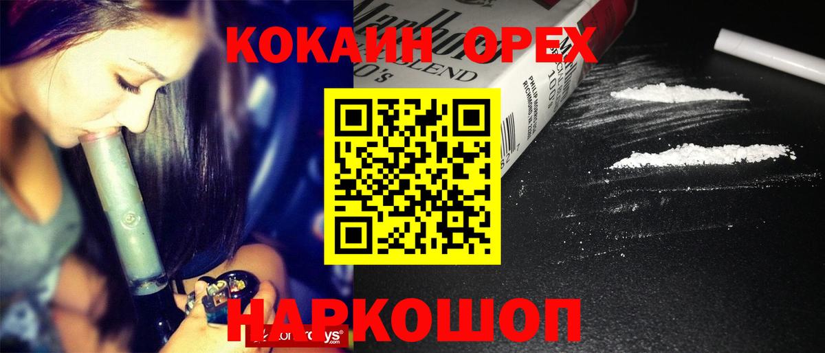 Кокаин Эквадор Королёв