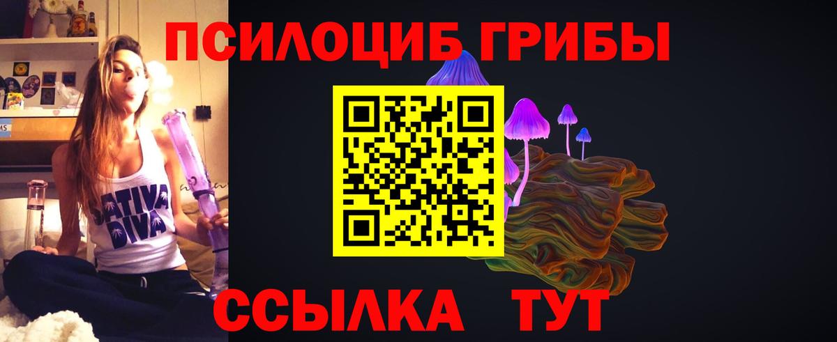 Галлюциногенные грибы MAGIC MUSHROOMS  Галлюциногенные грибы Cubensis  Королёв  Вход с VPN 