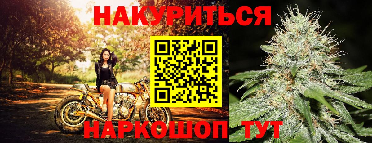 Каннабис планчик  Бошки Шишки индика  Королёв  Вход с VPN 